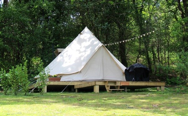 Glamping foraging dorset dorset tea
